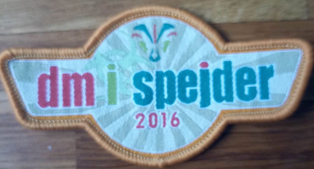 2016 DM i spejd